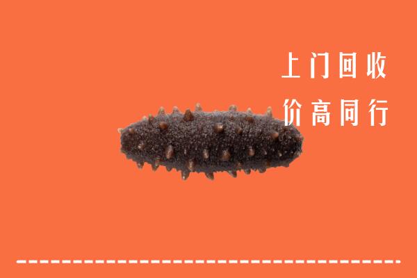 抚顺高价回收海参