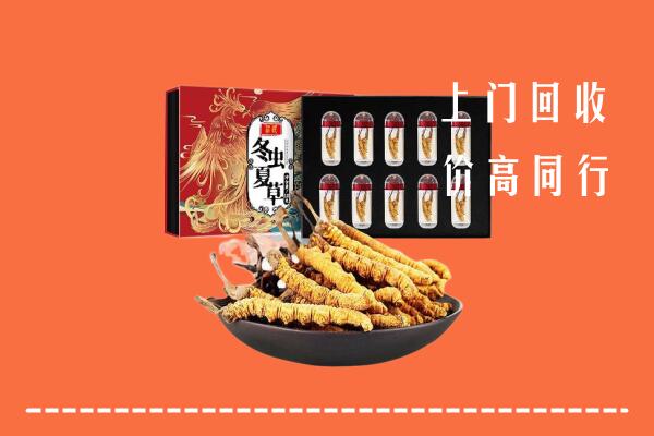 收购行情：抚顺回收虫草
